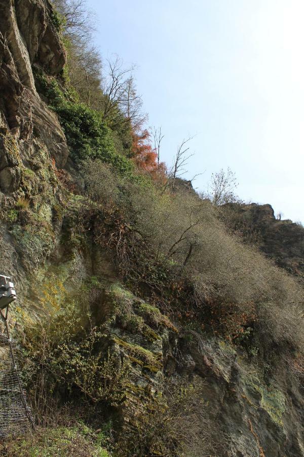 Logierhaus Stadt Lyon Bad Ems Luaran gambar